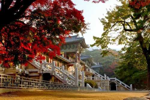 unesco heritage tour south korea1
